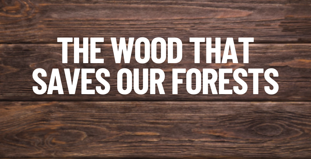 The Wood That Saves Our Forests